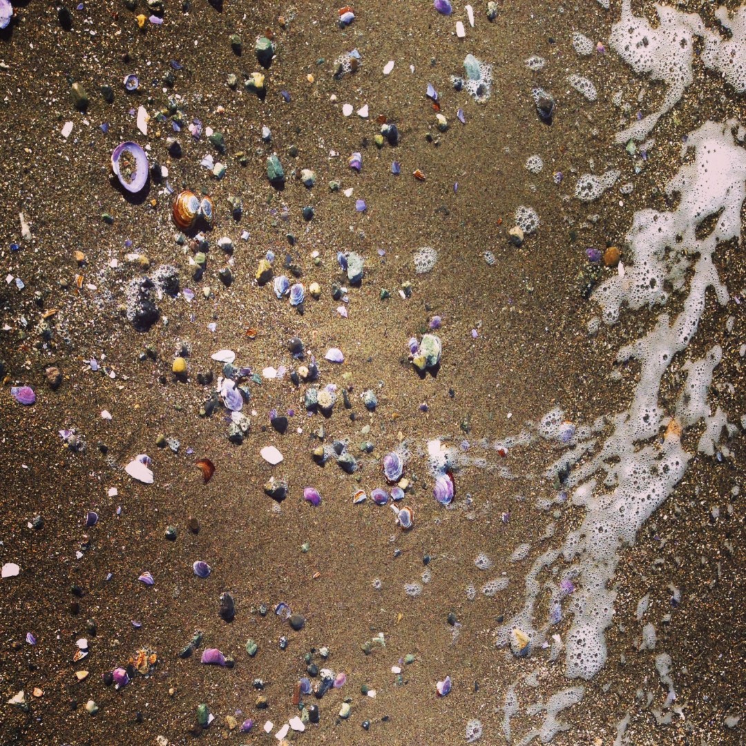 Seashells by the seashore